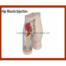 Simulateur de comparaison d&#39;injection de muscle de hip-muscle de haut niveau